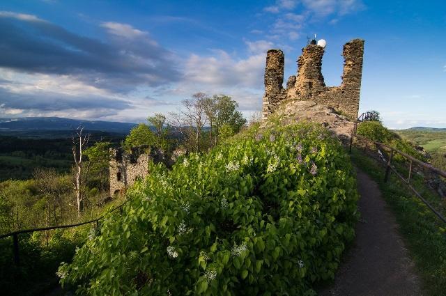Pension Jezdecke Centrum Kocik Stružná エクステリア 写真