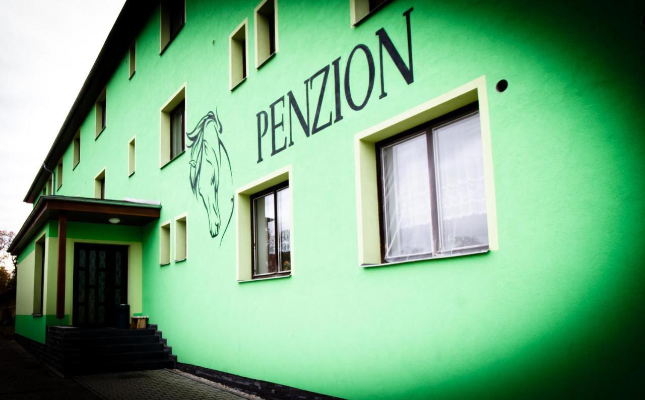 Pension Jezdecke Centrum Kocik Stružná エクステリア 写真